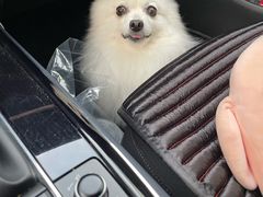 -虹鳗亭(钱湖北路店)