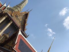-小杨生煎(萧山机场店)
