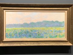 -印象莫奈时光映迹艺术展