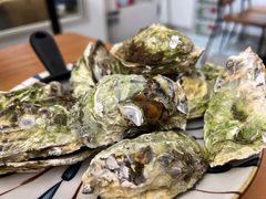 清蒸生蚝-孙记海鲜砂锅菜(拾味nice店)