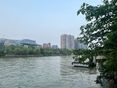 -运河游船(武林门码头)