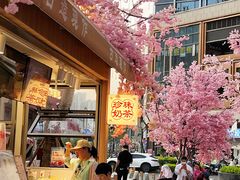 -首开·龙湖成都西宸天街