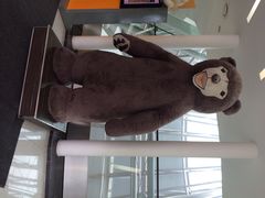 泰迪熊博物馆-济州岛泰迪熊博物馆