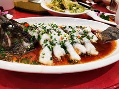 豉油蒸石斑鱼-红城阁·上海味道(四平路店)