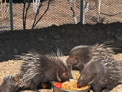 -水上乐园·欢乐世界