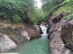 -广州白江湖森林公园