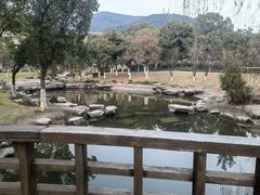-宁波九龙湖开元度假村