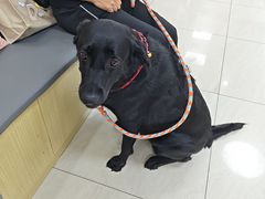 -美联众合动物医院·24h京西诊疗中心