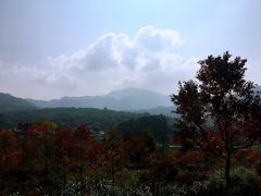 -塔川景区