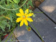 -普陀山风景名胜区-千步大沙