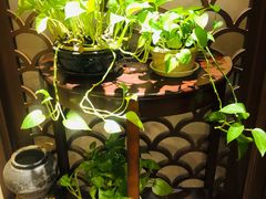 -渝乡人家(和平里店)