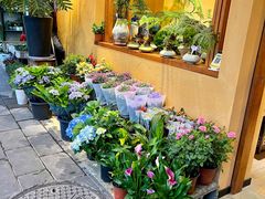 -溪岸路花鸟市场