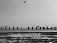 -宝安西湾红树林湿地公园