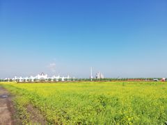 -呼兰河口湿地公园
