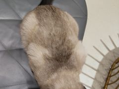 -藏猫猫咖啡主题馆(中央大道店)