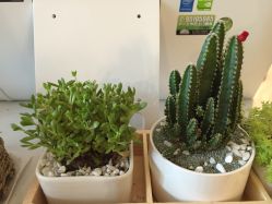 -YUE.庄悦皮肤身体管理中心