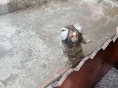 -上海大自然野生昆虫馆(东方明珠·爬宠昆虫探索中心)