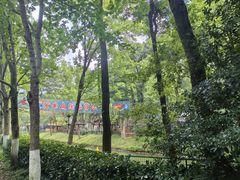 -紫金山山顶公园