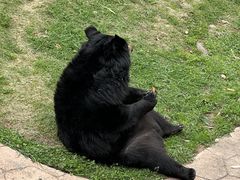 -无锡动物园·太湖欢乐园