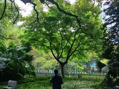 -晓港公园