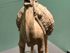 -辽宁省博物馆