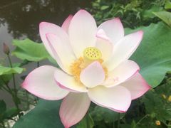 -龚家花园农家乐休闲别墅