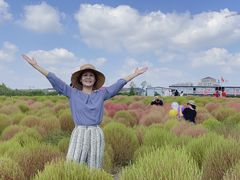 -映月湖中央公园