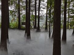 -东湖落雁景区