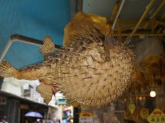 -禾绿寿司(星光68广场店)