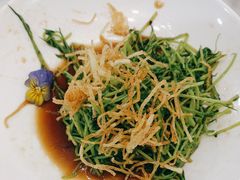 -新名仕新白玉兰餐厅