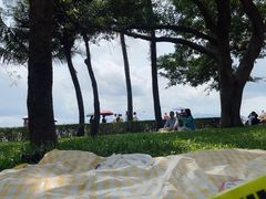 -深圳湾公园(南山区)