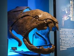 -湖南省地质博物馆