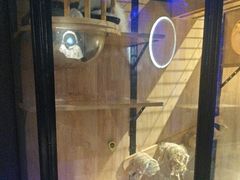 -瞳·实景密室逃脱(护国店)