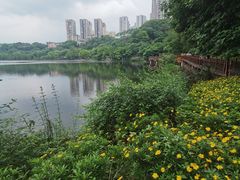 -重庆彩云湖湿地公园
