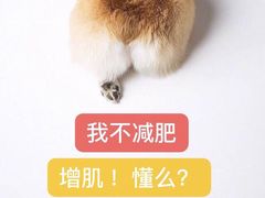 -派悦坊·甜品·蛋糕(日坛店)