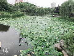 -花溪公园