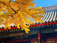 -红螺寺