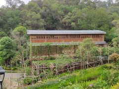 -金鸡山公园