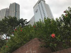 景点-九龙公园