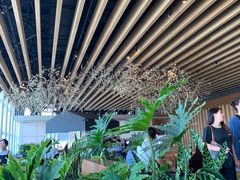 -Seesaw Coffee(朝阳大悦城店)