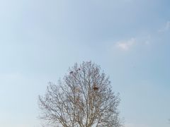 -钟山体育运动公园