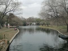 -上海共青森林公园