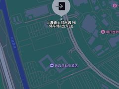 -迪士尼乐园停车场