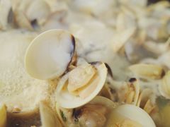 -拾下卜卜贝•海鲜火锅