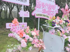 -顾村公园