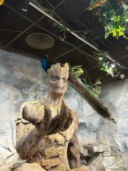 -Zoolung Zoolung动物主题公园(海信广场店)