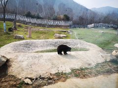 -西安秦岭野生动物园