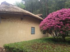 -韶山毛泽东同志故居