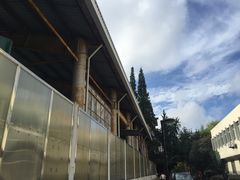 -小海豚国际游泳培训(长宁龙之梦酒店)