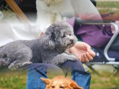 -汉长安城未央宫国家考古遗址公园